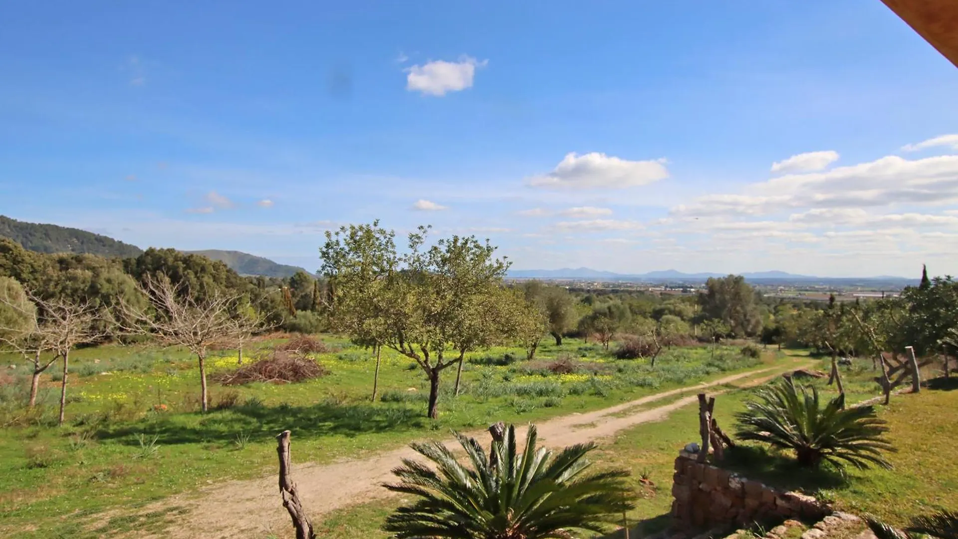 Crestatx Villa Es Bosquet By Slow Villas